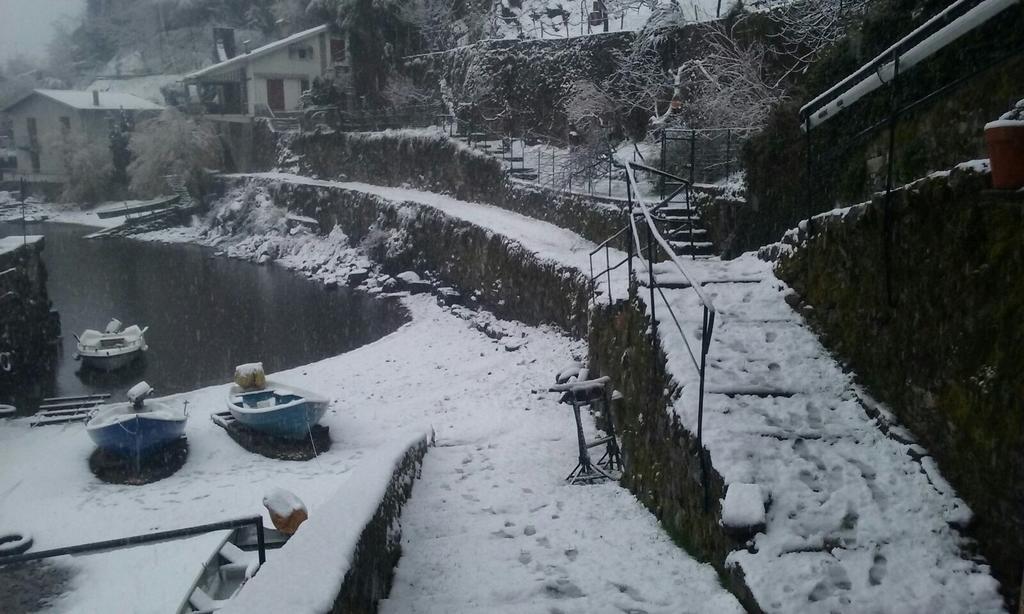 Tra Lago E Montagna Baita La Morena Nesso Exteriér fotografie