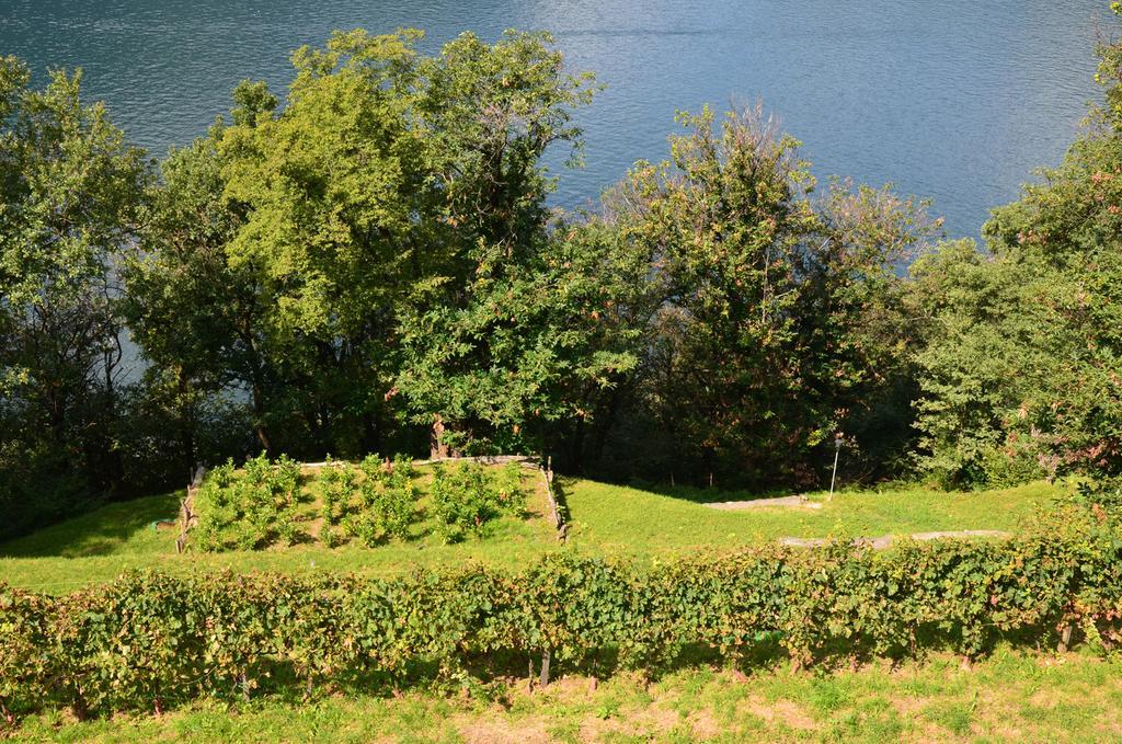Tra Lago E Montagna Baita La Morena Nesso Exteriér fotografie