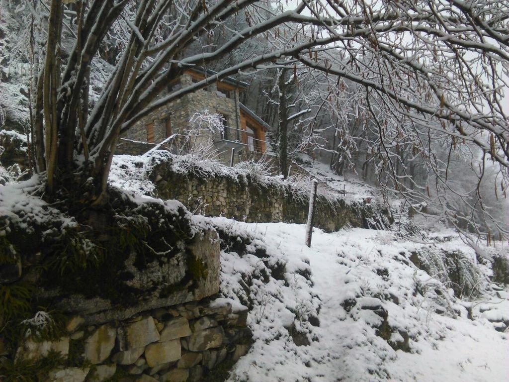 Tra Lago E Montagna Baita La Morena Nesso Exteriér fotografie