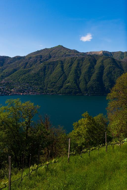 Tra Lago E Montagna Baita La Morena Nesso Exteriér fotografie