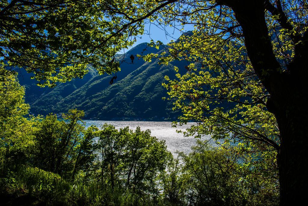 Tra Lago E Montagna Baita La Morena Nesso Exteriér fotografie