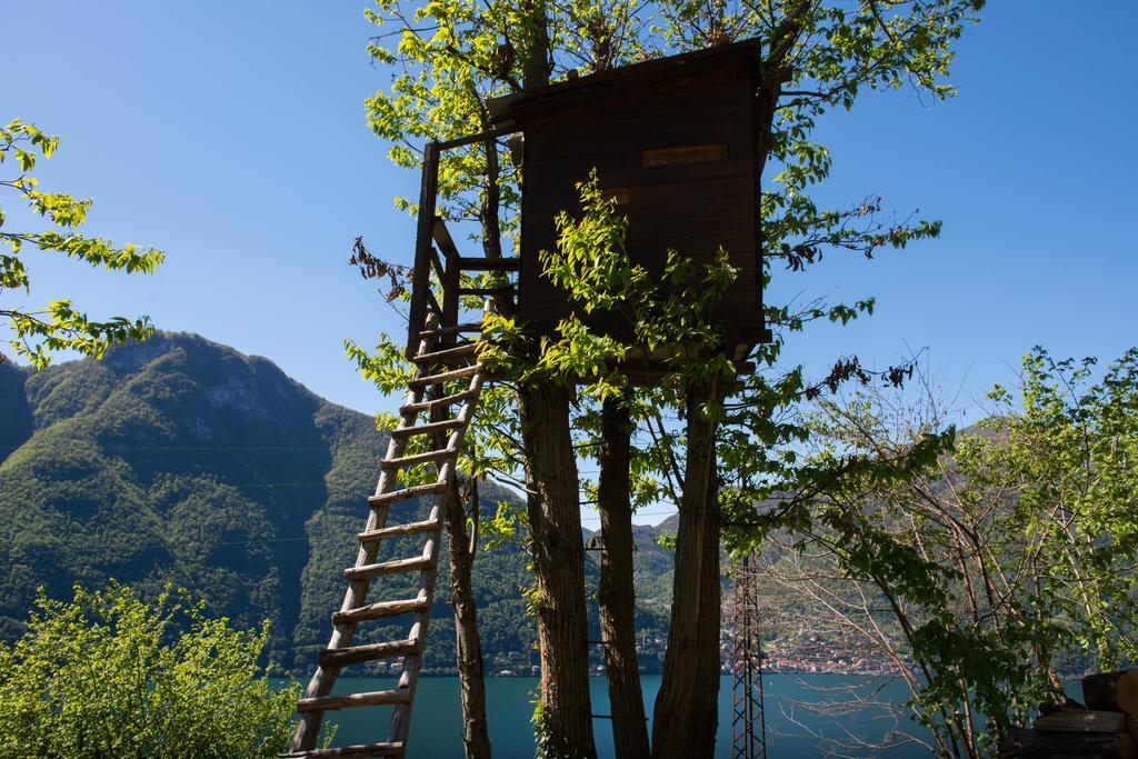 Tra Lago E Montagna Baita La Morena Nesso Exteriér fotografie
